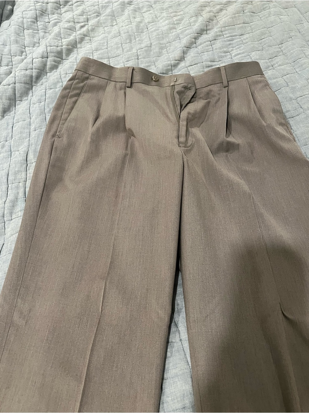 Louis Raphael Men's Pleated Dress Pants - Taupe Brown